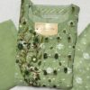 Pastel Green Jamdani Weaving Hand Embroidery Kurti Set