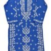 Elegant Blue Chikankari Kurti for Office Wear